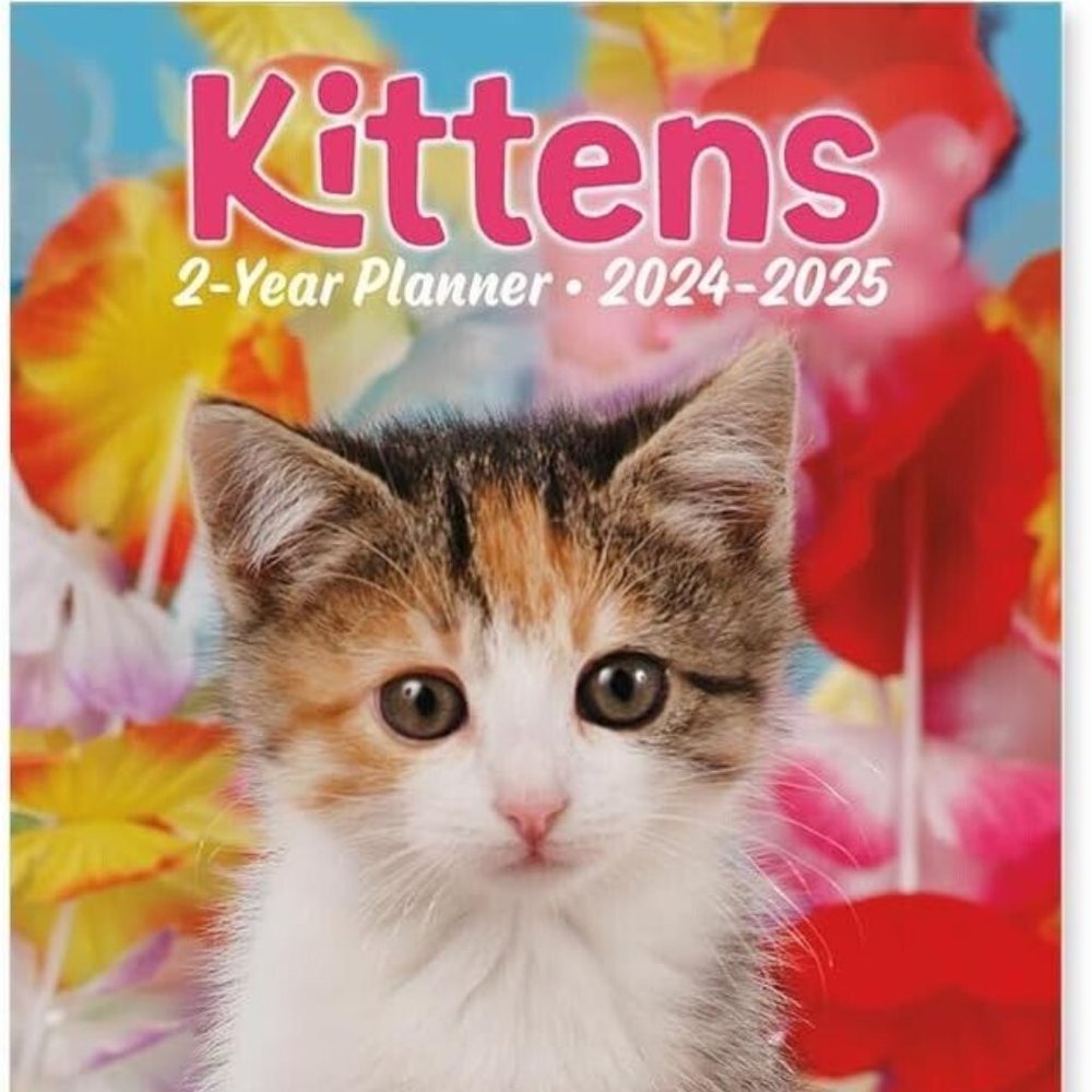 2024-2025 Value Pocket Calendar for Planning, Scheduling - Kittens